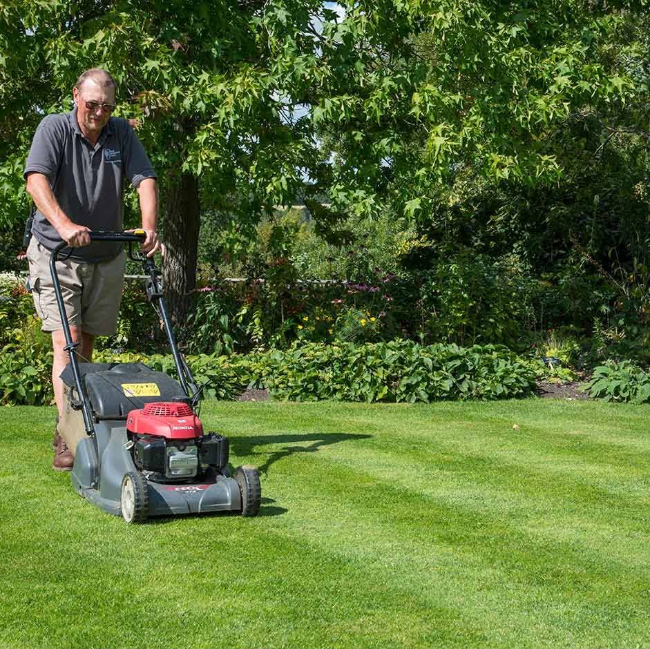 Cutting Grass